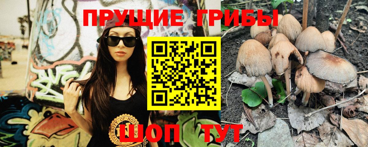 Галлюциногенные грибы Cubensis Ростов Великий