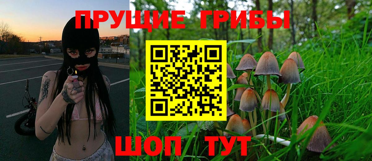 Галлюциногенные грибы Psilocybine cubensis  Псилоцибиновые грибы Psilocybine cubensis  Ростов Великий  где купить наркоту  Вход с VPN 